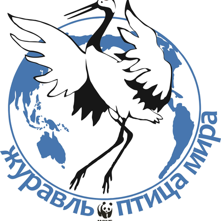 Итоги муниципального этапа республиканской природоохранной Акции  "Птица Года" в 2020 году.