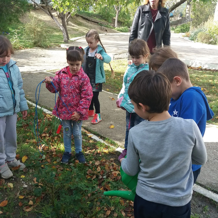 Экологический  проект «Зеленый Крым» в детском саду "Солнышко"